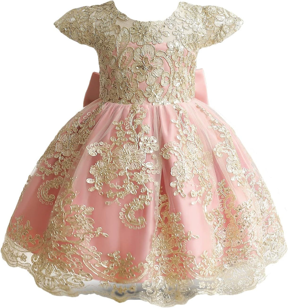 Baby Girl Tutu Dress Princess Lace Embroidery Wedding Party Gown