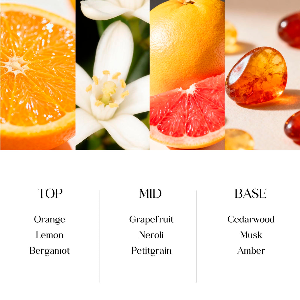 Reed Diffuser Set, 6.7 oz Citrus Scented Diffuser with Sticks, Home Fragrance Reed Diffuser Shelf Decor