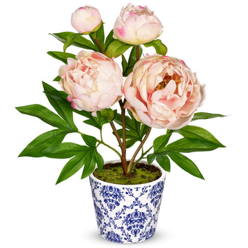 Faux Peony Flowers in Blue and White Ceramic Pot - 13.8" Realistic Silk Peonies Artificial Peony Floral Arrangement