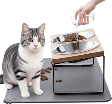 Upgraded Elevated Cat Bowls with Food Mat, 15°Tilted Stand Anti Vomiting Raised Cat Dishes for Food and Water, 2