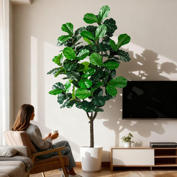 Artificial Fiddle Leaf Fig Tree 7ft with White Planter Realistic Fiddle Leaf Lyrata Plant Tall Fake Tree with