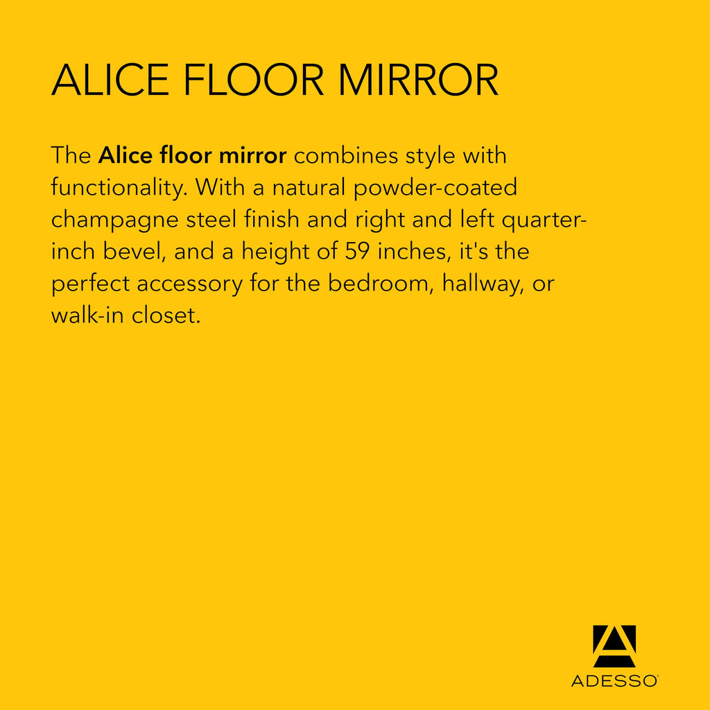Floor Mirror, Brushed Steel, Freestanding, Foldable Kickstand, 59"