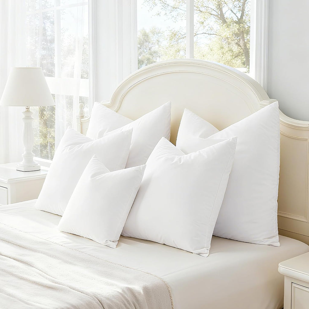 Throw Pillow Inserts, 22x22 - Set of 2
