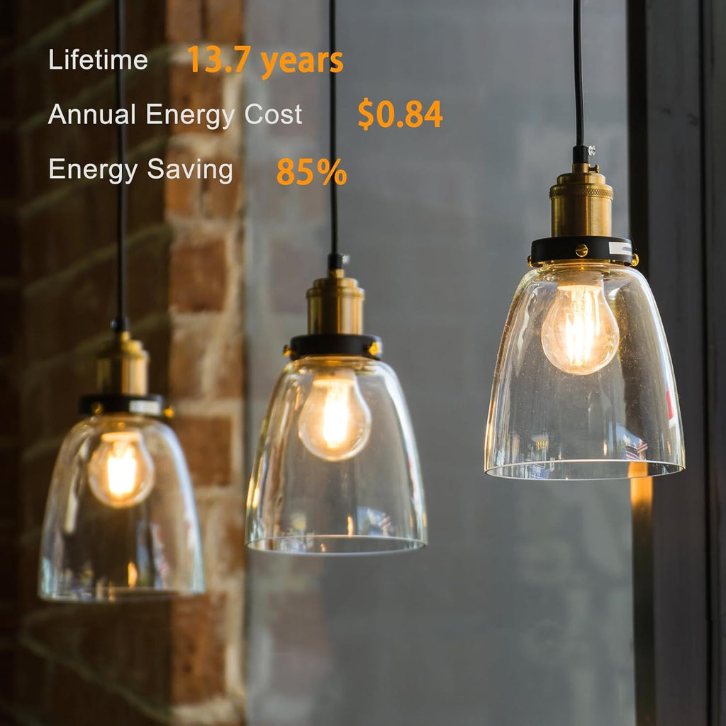 12 Pack A19 Vintage LED Edison Bulbs, Dimmable, 60W Equivalent, High Brightness 2700K Warm White, 8W E26 Standard