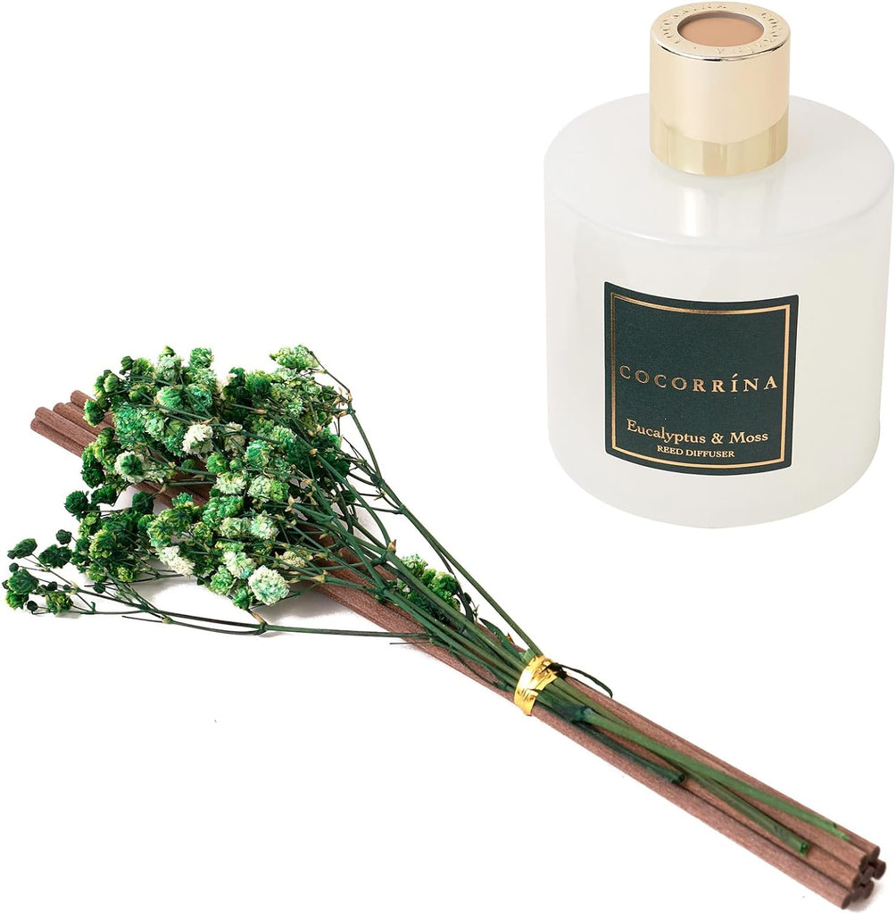 Reed Diffuser Sets- Eucalyptus & Moss Scented Diffuser with Sticks Home Fragrance Reed Diffuser Shelf Decor - Set of 67