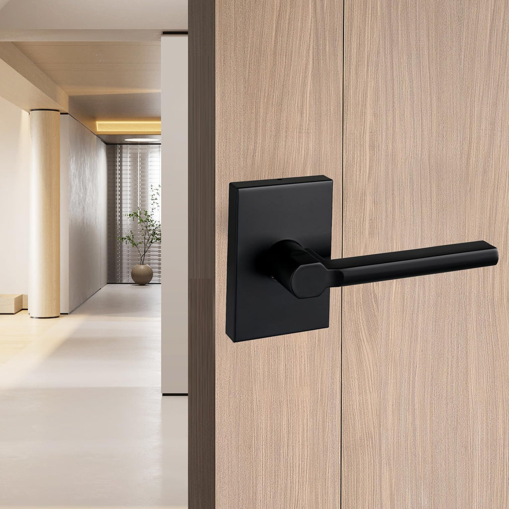 Single Sided Dummy Door Handle for Closet or Pantry, Non-Turning Matte Black Reversible Interior Push/Pull Lever