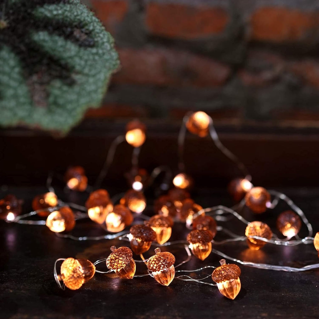 Decorative Fairy Acorn String Lights Thanksgiving Decoration Autumn Garland Cute Novelty Lights 30 LEDs 10 ft Battery