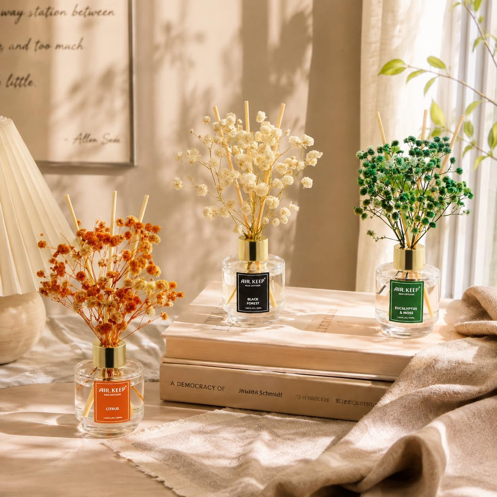 Reed Diffuser, Black Forest Eucalyptus Moss Citrus Oil Reed Diffusers Living Room Office Aromatherapy Oil - Set of 3