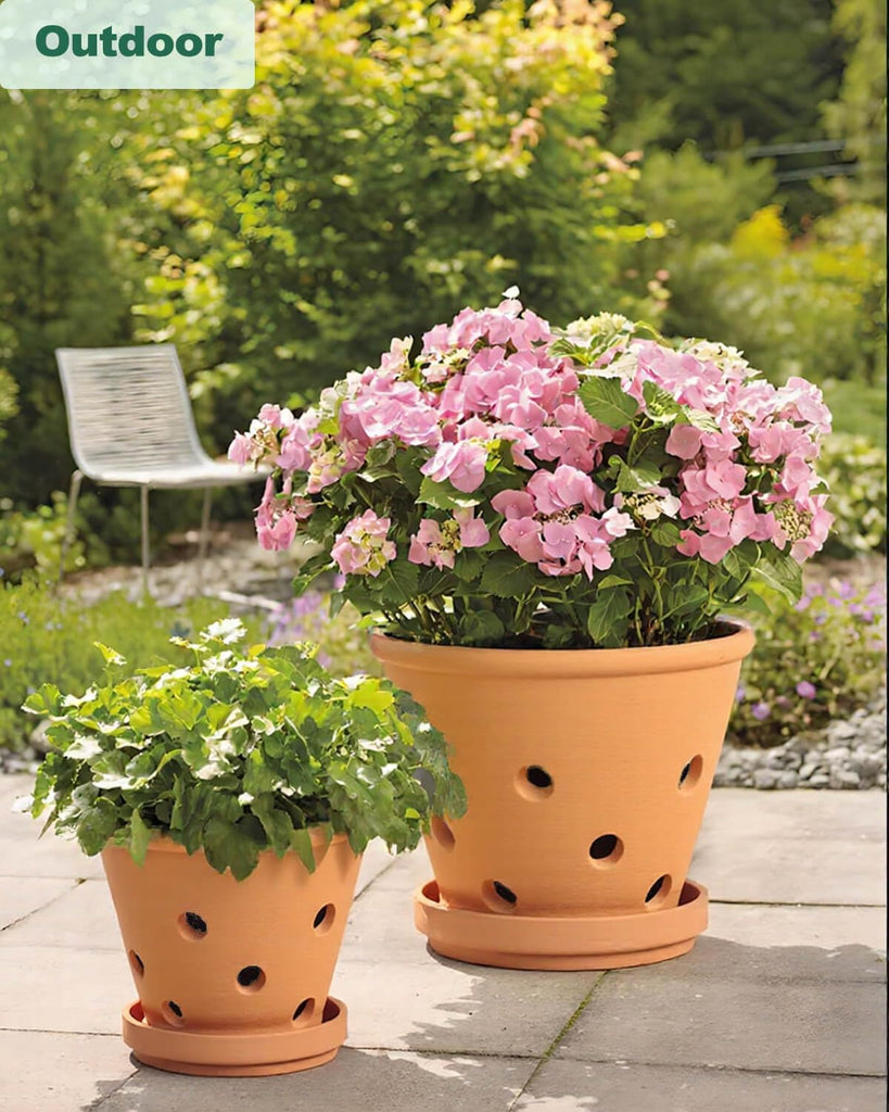 8 Inch Terracotta Orchid Pots with Holes and Saucers - 2 Pack Clay Orchid Planter Pots for Repotting, Breathable