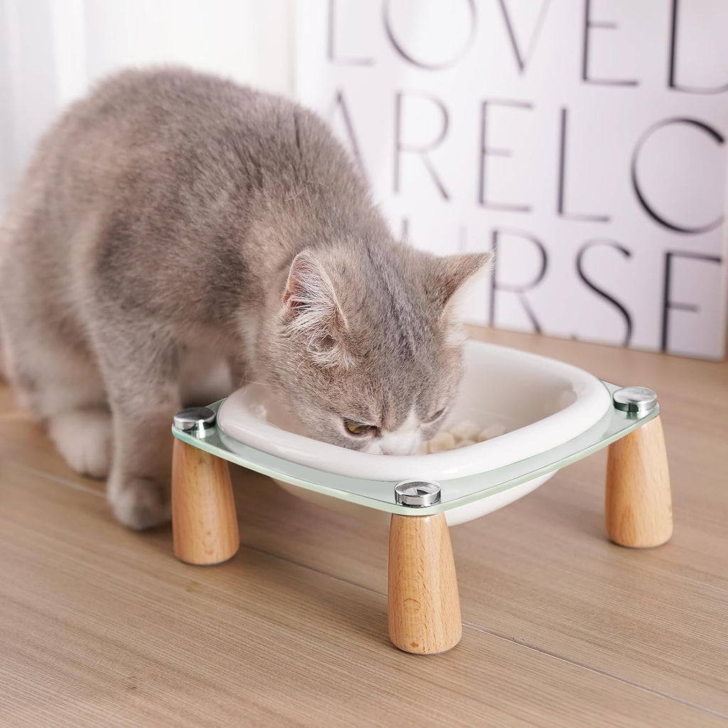 Elevated Cat Bowl and Dog Bowl, Ceramic Raised Pet Bowl with Acrylic & Wood Stand, Non-Slip, 13.5 OZ, for Cats &