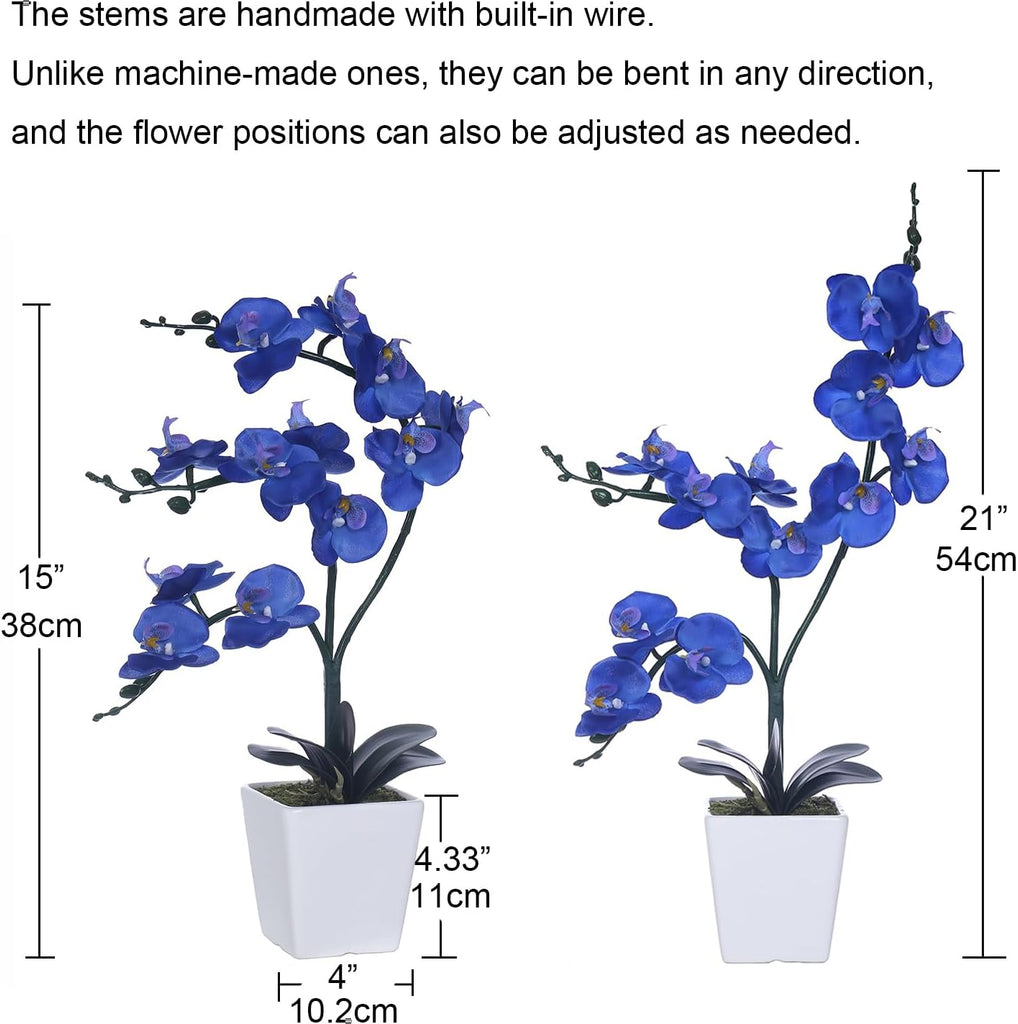 15" Silk Phalaenopsis Orchid in Square Pot, Navy Blue Flower Arrangements