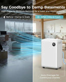 32 Pint Dehumidifier for Basement, 2500 sq.ft Dehumidifiers for Home with Drain Hose, 3 Modes, Auto Defrost, 24H Timer