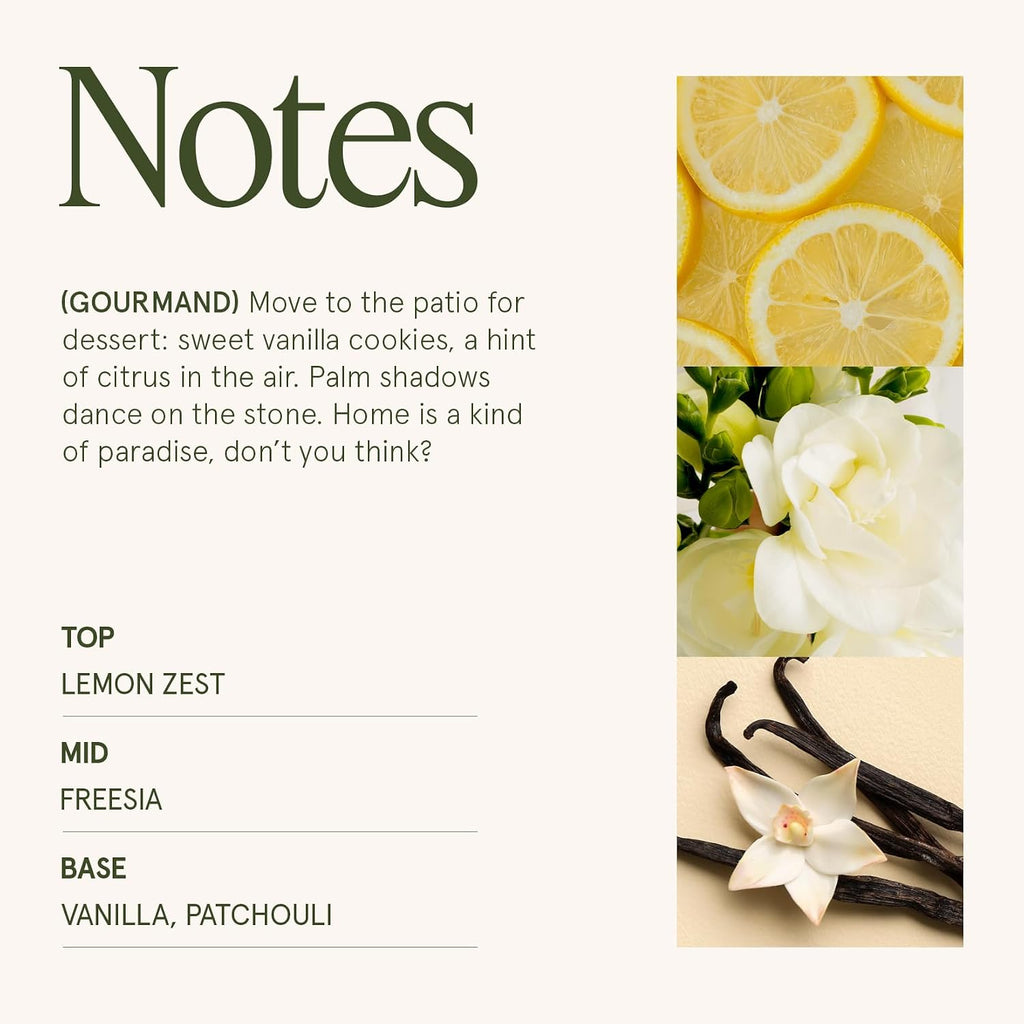 Vanilla Zest Scented Candles, Natural Soy, 40 Hrs - Set of 6