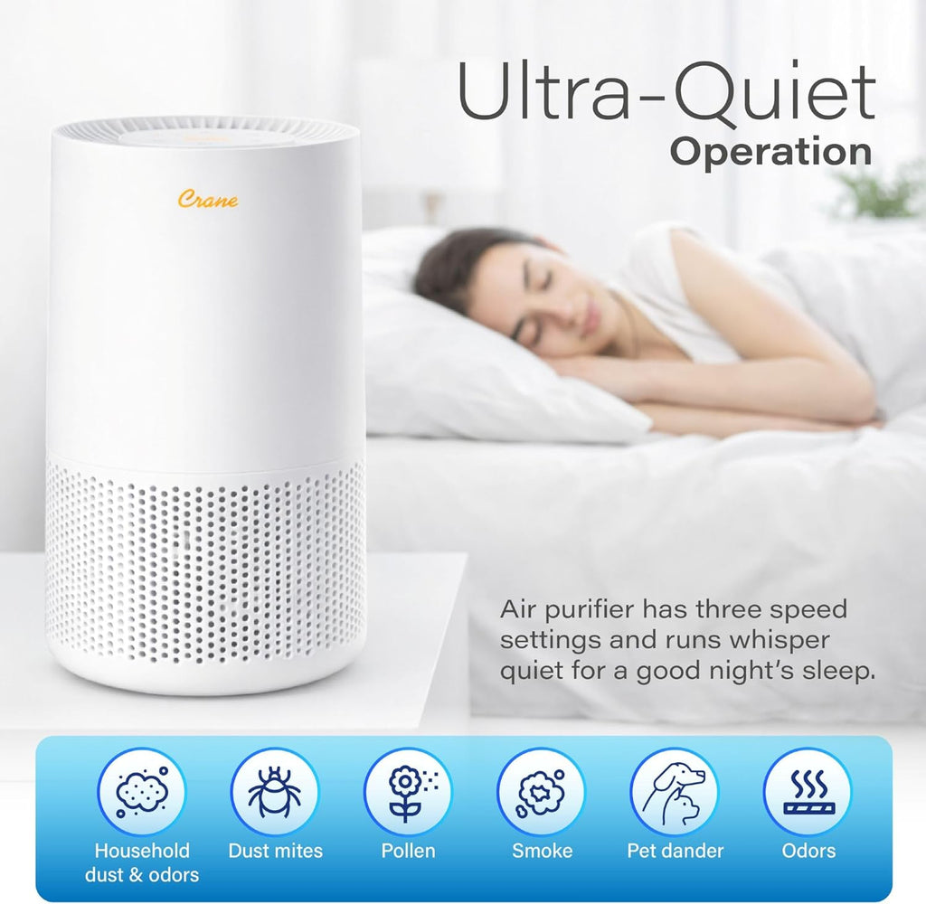 True HEPA Air Purifiers for Home, Up To 250 Sq Ft, Air Purifiers For Bedroom, and Office, Removes Du