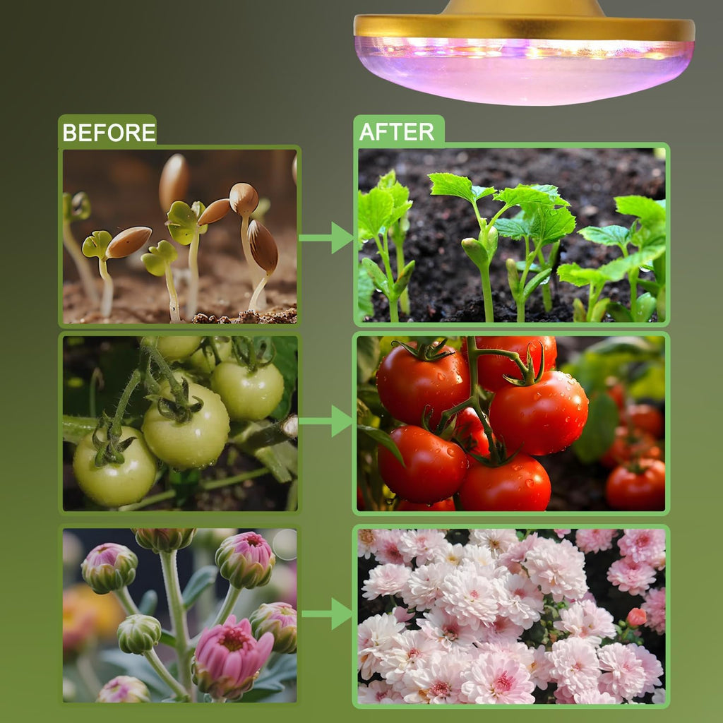 LED Grow Lights for Indoor Plants, Full Spectrum Plant Growing Lamp, E26/E27 10W Grow Light, Red Blue Grow Light