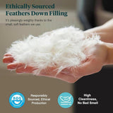 Feathers & Down Comforter, Organic Duvet Insert, 100% Cotton Shell, Ethically-sourced Feathers and D