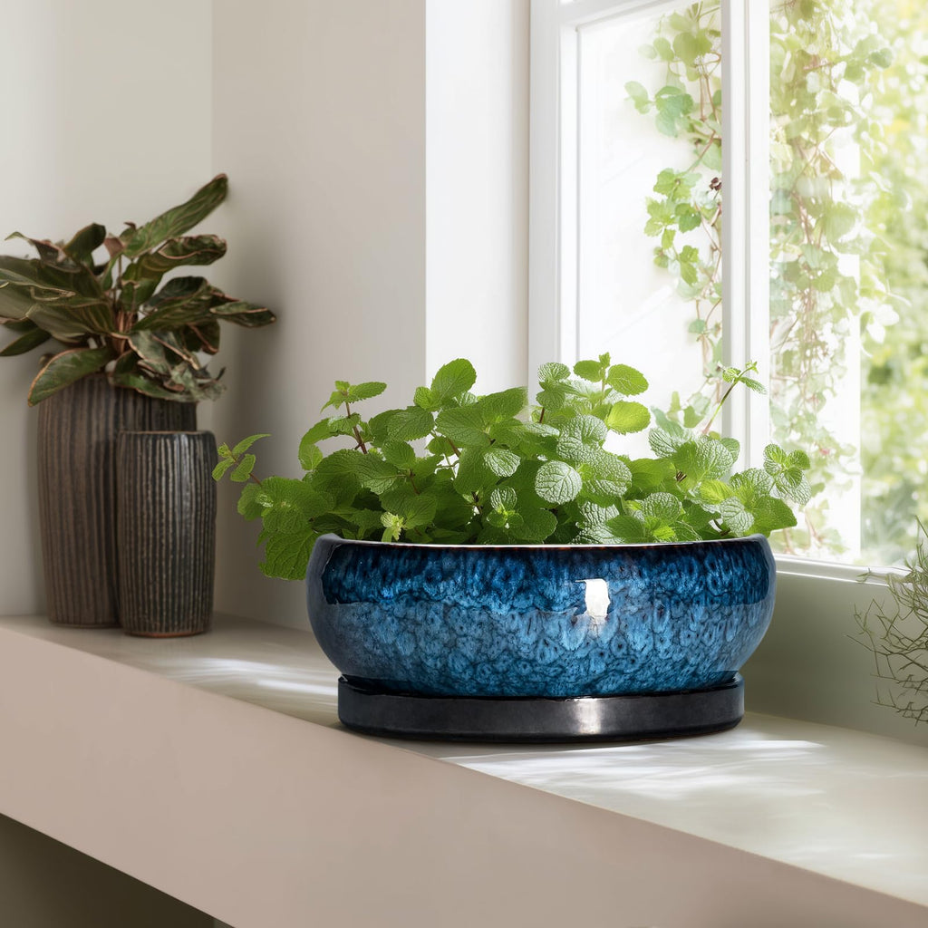 Bonsai Pots - 13 Inch Ceramic Succulent Pots for Indoor Outdoor, Large Succulent Planter with Drainage Hole and