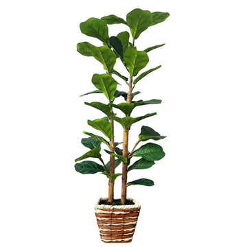 4ft Fiddle Leaf Fig Tree Artificial Plants in Woven Basket
