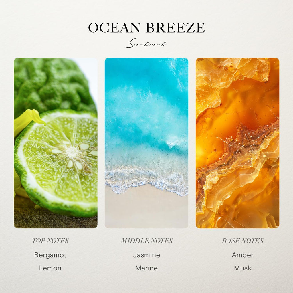 Ocean Breeze Diffuser Oil - Hotel Scent - 16.91 fl oz (500 mL) - Set of 169