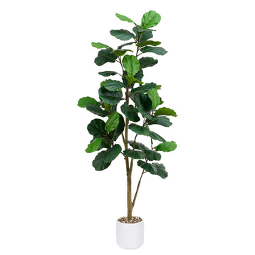 Artificial Fiddle Leaf Fig Tree 7FT with Tall Exquisite Planter