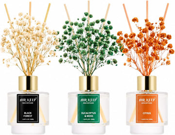 Reed Diffuser, Black Forest Eucalyptus Moss Citrus Oil Reed Diffusers Living Room Office Aromatherapy Oil - Set of 3