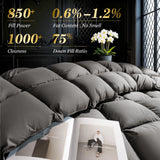 75% Canadian Goose Down Comforter Queen, Ultra Soft 100% Cotton Fabric, 850 Fill Power All Season Du