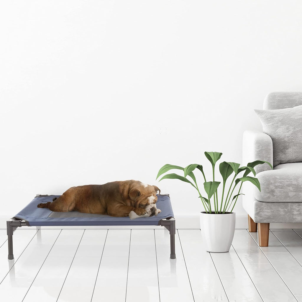 Elevated Dog Bed - 30x24-Inch Portable Pet Bed with Non-Slip Feet - Indoor/Outdoor Dog Cot or Puppy Bed for Pets up