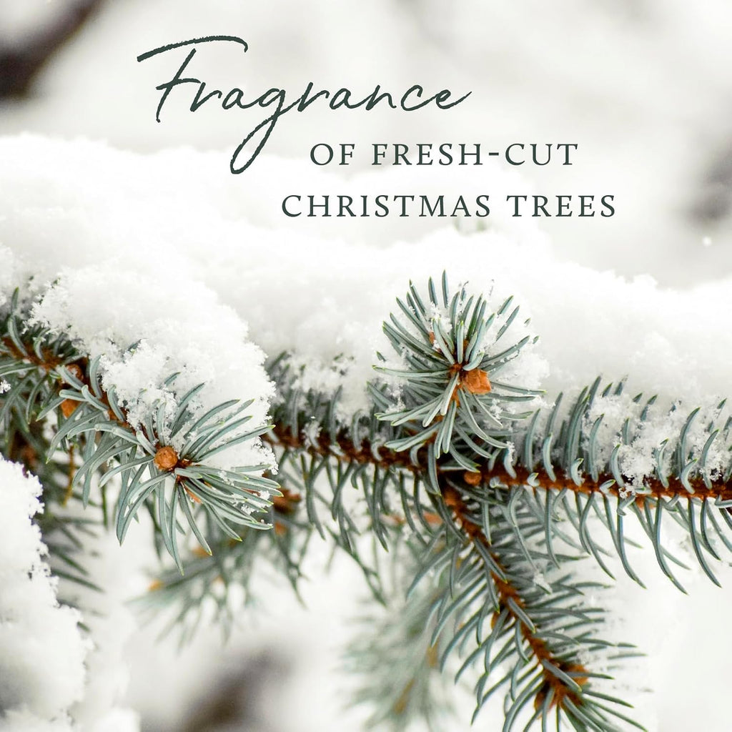 Frasier Fir Reed Diffuser Set - Includes Reeds, Fragrance Oil, and Frosted Glass Bottle - Fragrance Oil Diffuser