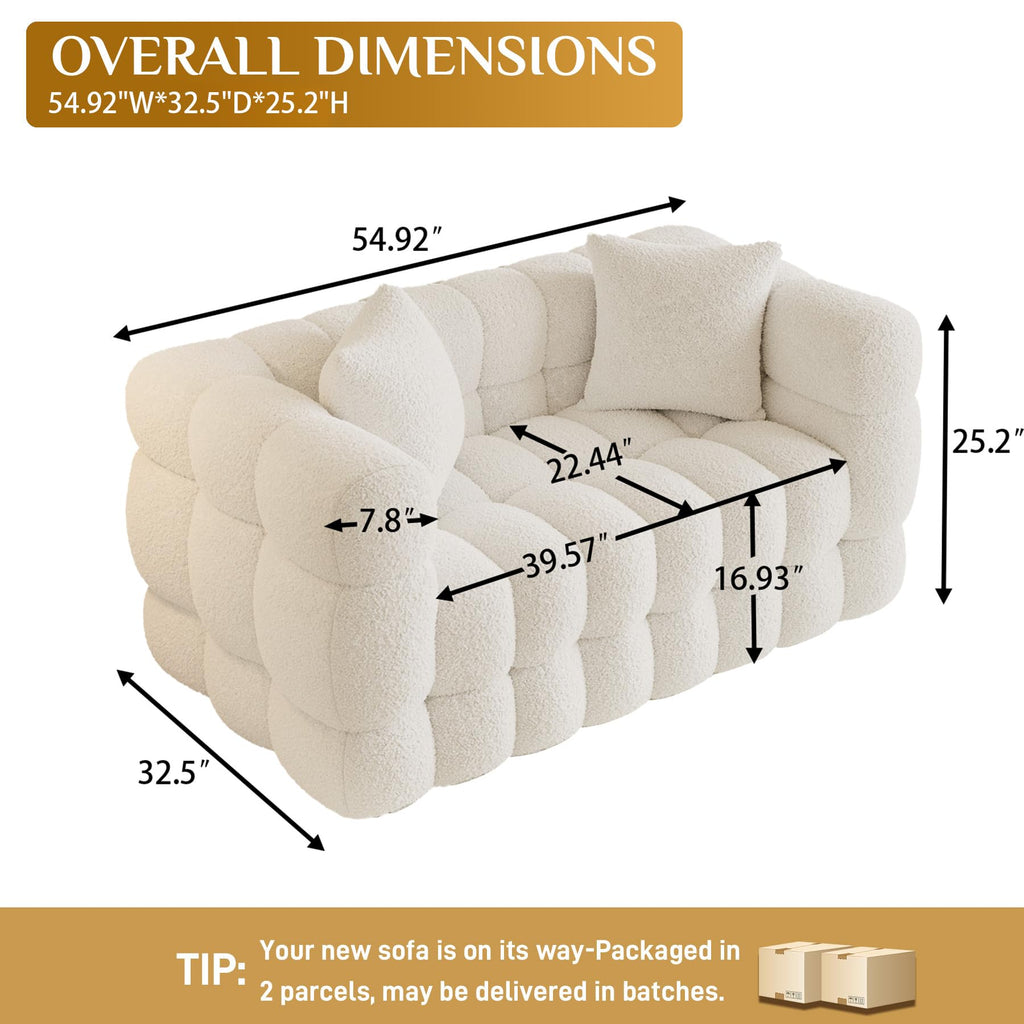 55" Boucle Cloud Loveseat with 2 Pillows, Beige White