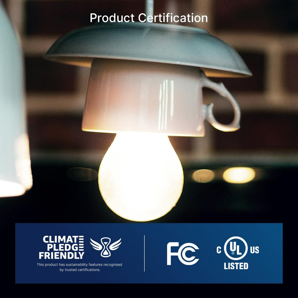 A15 Dimmable Edison Bulbs, 60W, 5000K Daylight, 6 Pack