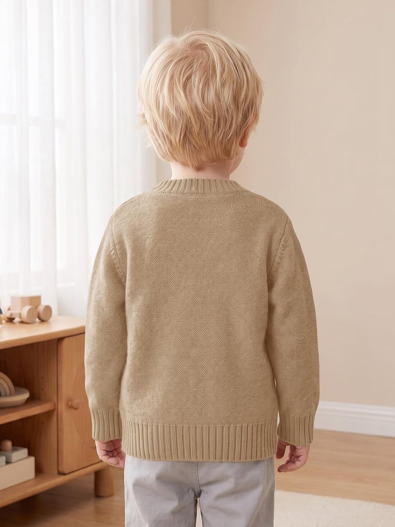 Toddler Baby Boy Cable Knit V-Neck Button Down Cardigan Sweater