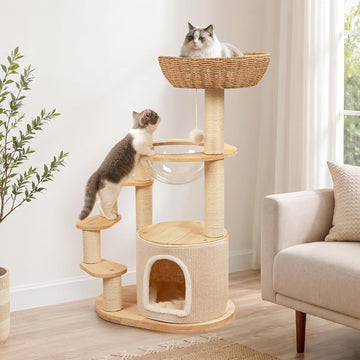 Solid Wood Cat Tree for Kitten & Munchkin, Modern Cat Tower with Low-Rise Steps, Indoor Multi-Level Aesthetic Boho