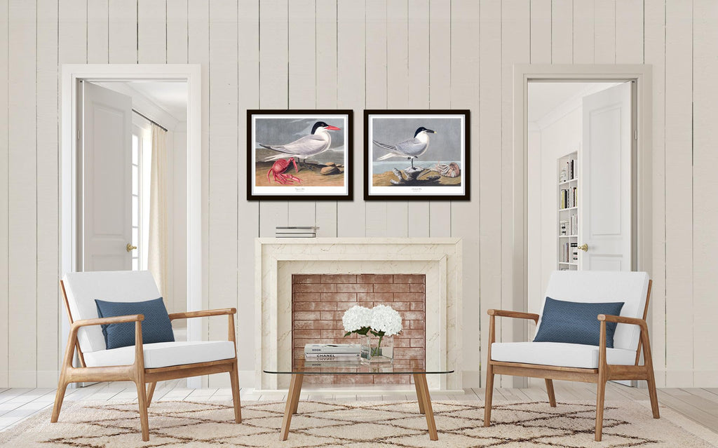 Bird Wall Art Audubon Seabirds Prints No. 6, 8X10 SET OF 2, Unframed