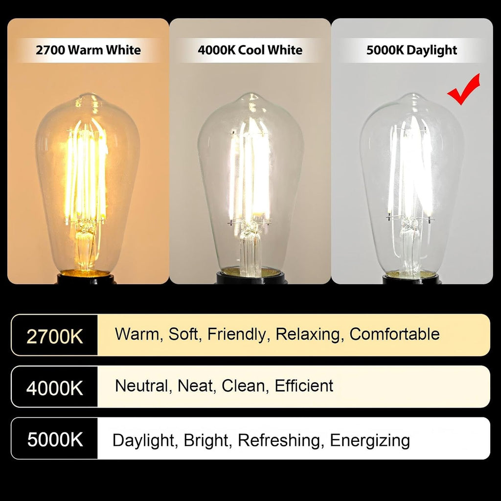 Vintage LED Edison Bulbs, 6W, Equivalent 60W, Non-Dimmable, Daylight 5000K, 700Lumens, ST58 Antique LED Filament