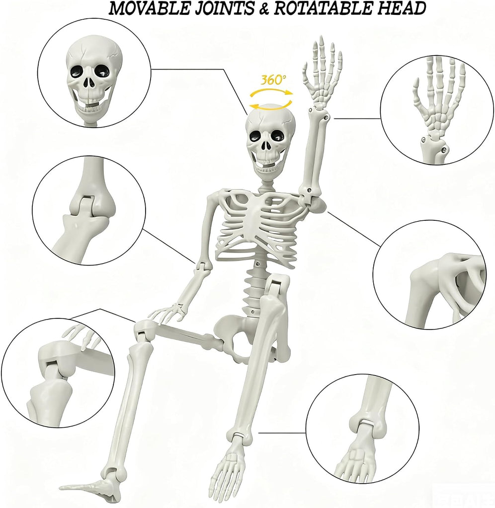 3ft Posable Plastic Halloween Skeleton-36" Skeleton Halloween Decor - Set of 2