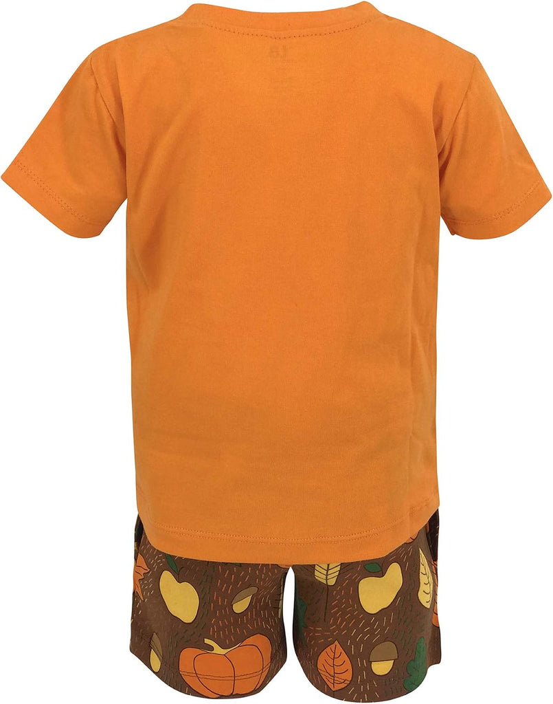 Boys 2pc Shorts Set Outfit Short Sleeve Shirt with Graphic Applique Print and Shorts