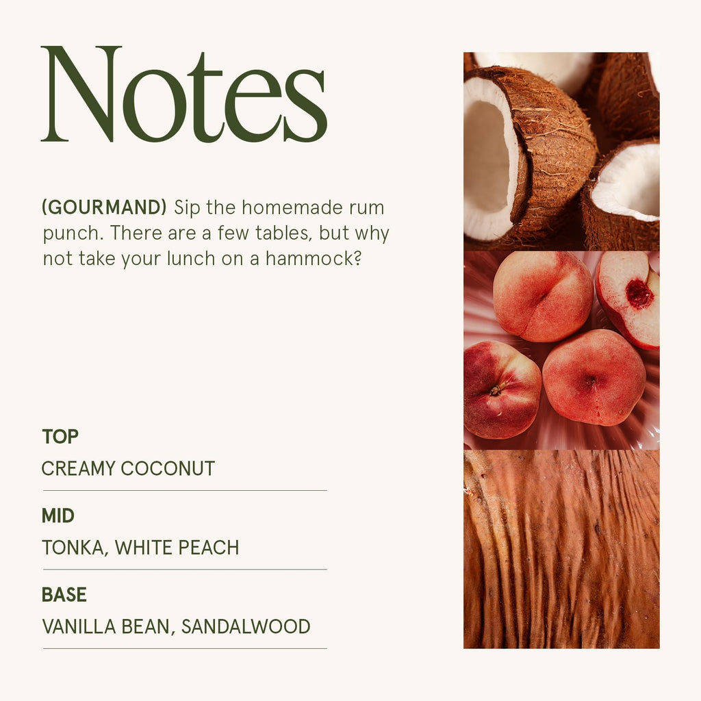 Island Coconut Vanilla Scented Candles, 19 oz Soy Wax