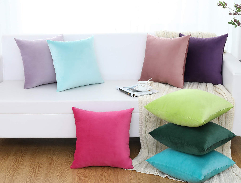 Set of 2 Comfy Soft Thick Velvet Throw Pillow Covers for Sofa Couch, Decorative Solid Square Cushion Cases Car (20 x
