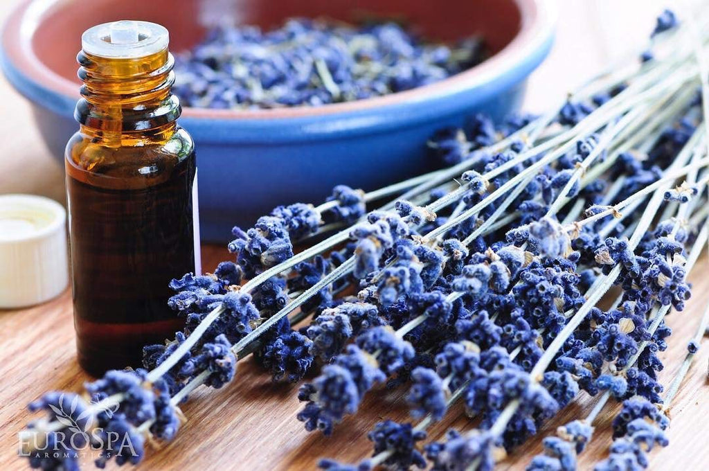 Pure Eucalyptus Oil ShowerMist and Steam Room Spray, All-Natural Premium Aromatherapy Essential Oils - Lavender
