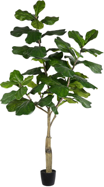 6ft Artificial Potted Fiddle Tree - 65 Large Fiddle Leaves - Tall - Green Silk Artificial Indoor Fiddle Plant