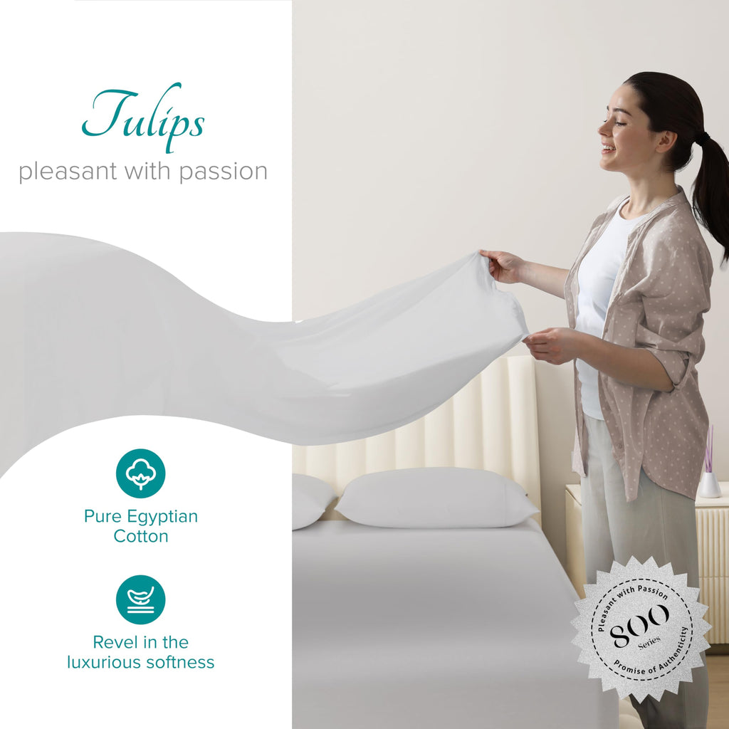 Linen 800 Series Egyptian Cotton Split King Sheet Set, Silver