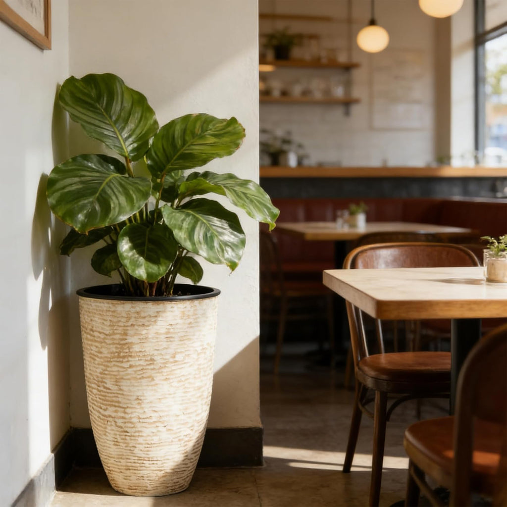 21" H Beige Tall Planters set of 2 with Inside Pots - 14'' Dia Large Round Plant Tree Pots with Drain Hole