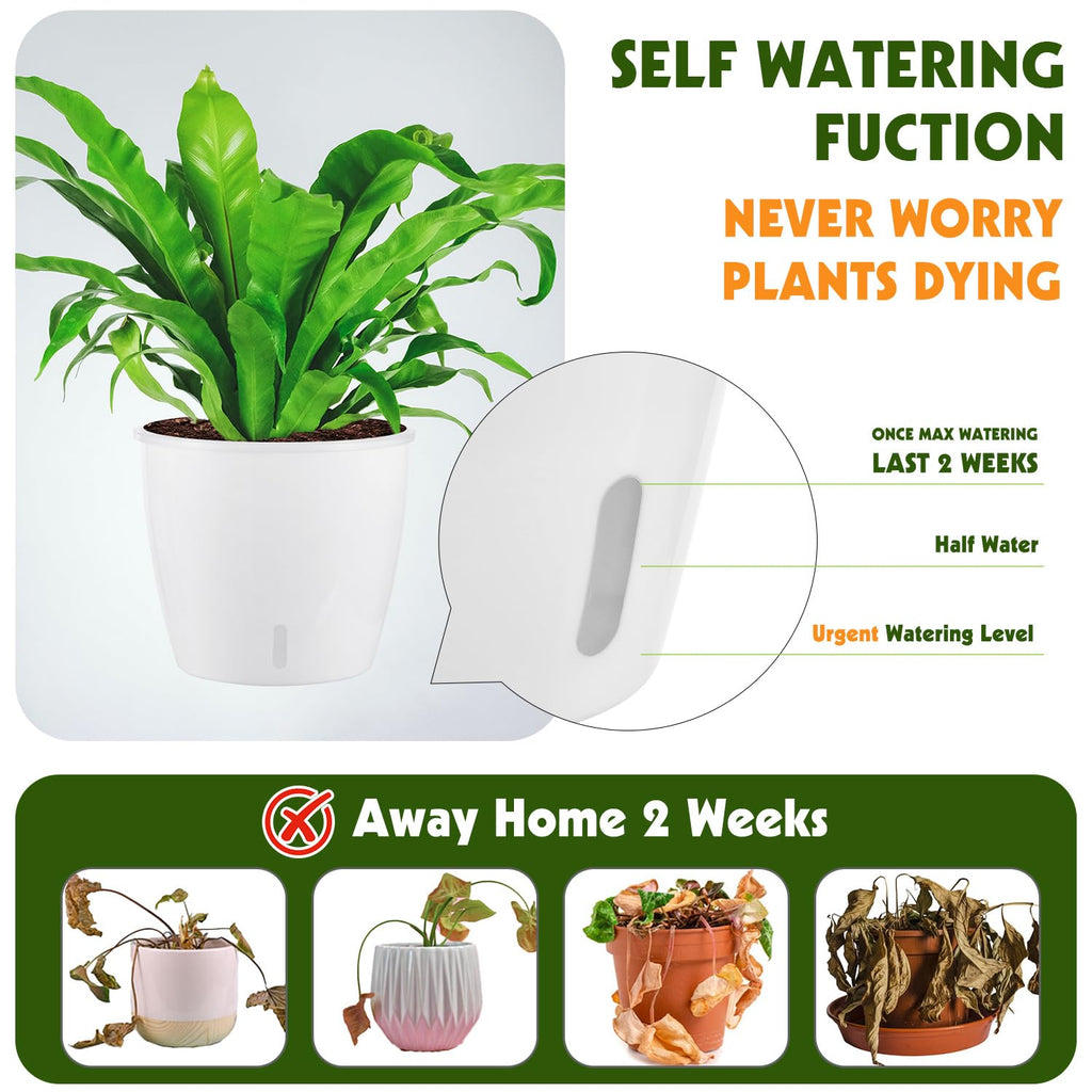 Self Watering Pots for Indoor Plants, 6-Pack 5'' Self Watering Planter with Drainage Holes, Small African Violet Pots
