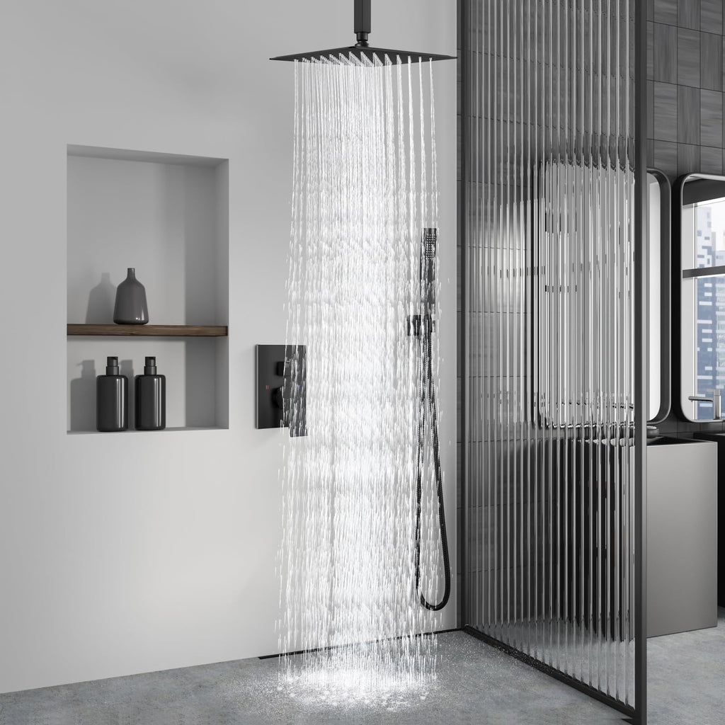 Ceiling Shower Faucet with Handheld 16 Inch Head Matte Black
