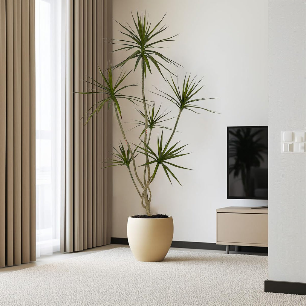 Artificial Dracaena marginata Plant 6ft Tall Indoor Tree。