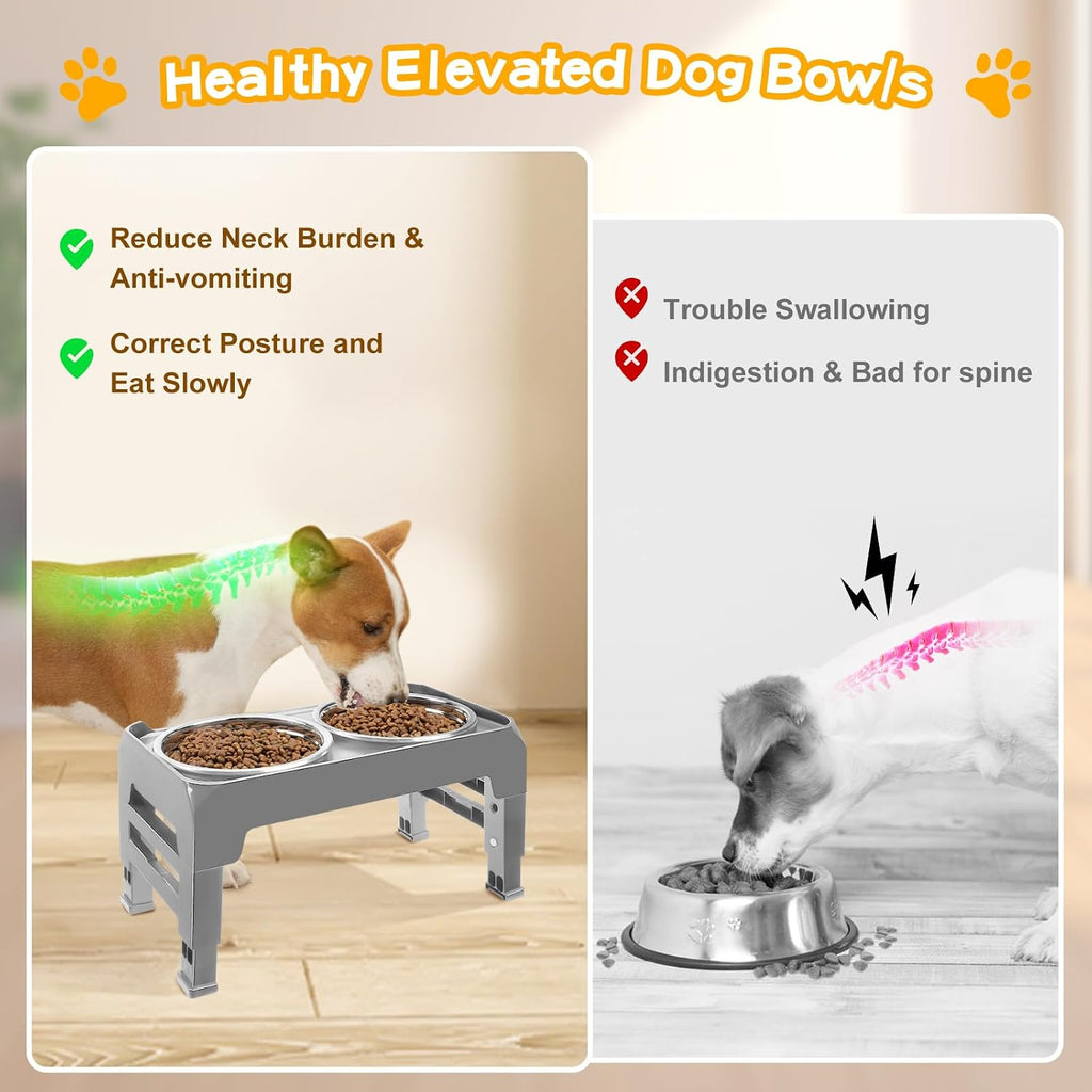 Elevated Dog Bowls for Small Medium Dogs, 3 Height Adjustable Raised Stand with 2 Thick 6" Stainless Steel Food