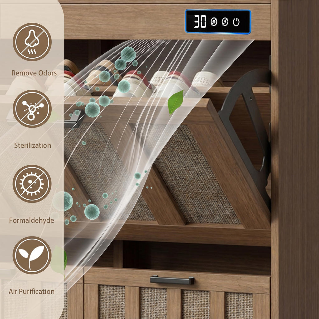 Shoe Storage Cabinet with 2 Flip Drawers and Deodorizer