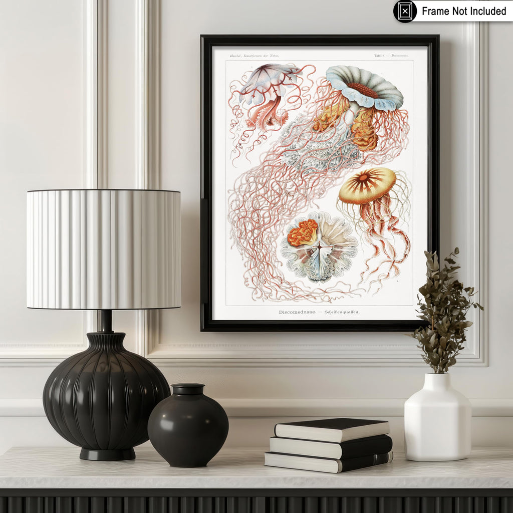 Master Discomedusae Print - Ernst Haeckel Poster - Jellyfish Art - Marine Life Wall Design - Gift for Men & Women