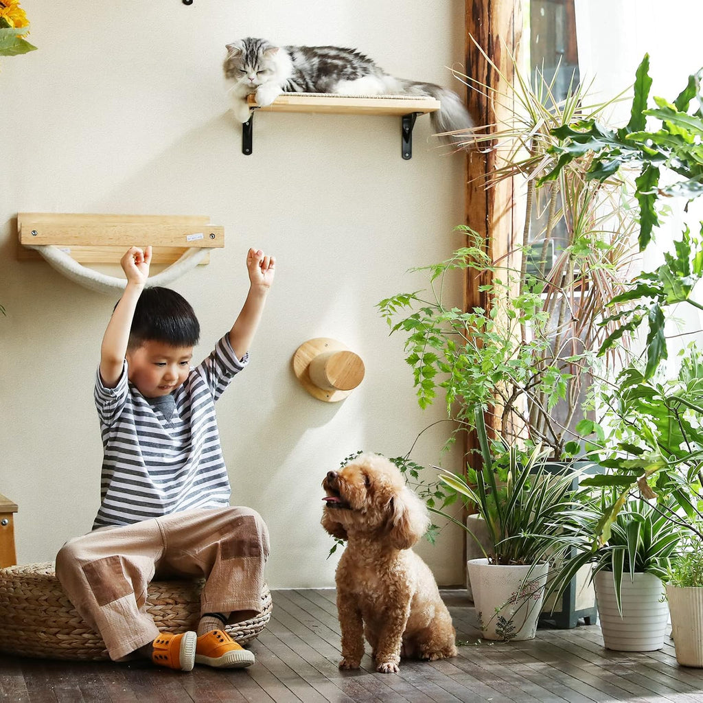 Cat Wall Steps, 11.8 Inch, 2 of Pack