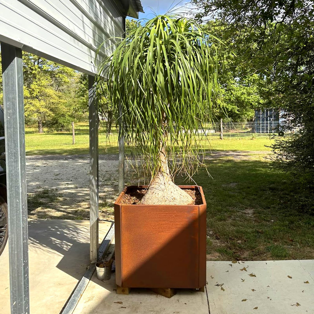 Corten Steel Planter Box 24"L x 24"W x 24"H Large Square Steel Planter Box
